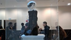 IMG_20170126_120319936